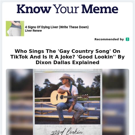 gay cowboy meme|Who Sings The 'Gay Country Song' On TikTok And Is It A.